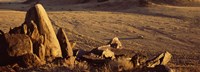 Rocks in a desert, overview of tourist vehicle, Namibia by Panoramic Images - 36" x 12", FulcrumGallery.com brand