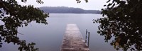 Pier over a lake, Forggensee Lake, Oberallgau, Allgau, Bavaria, Germany Fine Art Print