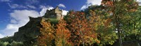 Castle viewed through a garden, Edinburgh Castle, Edinburgh, Scotland Fine Art Print