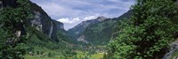 Forest, Lauterbrunnen Valley, Bernese Oberland, Berne Canton, Switzerland Fine Art Print