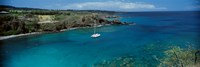 Sailboat in the bay, Honolua Bay, Maui, Hawaii, USA by Panoramic Images - 36" x 12"