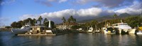 Boats at a harbor, Lahaina Harbor, Lahaina, Maui, Hawaii, USA Fine Art Print