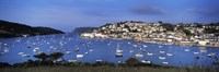 Town on an island, Salcombe, South Hams, Devon, England Fine Art Print