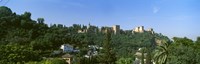 Palace viewed from Sacromonte, Alhambra, Granada, Granada Province, Andalusia, Spain Fine Art Print