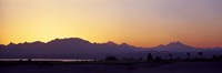 Silhouette of a golf course with Sinai Mountains in the background, The Cascades Golf & Country Club, Soma Bay, Hurghada, Egypt Fine Art Print