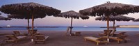 Lounge chairs with sunshades on the beach, Hilton Resort, Hurghada, Egypt Fine Art Print