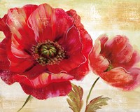 Passion for Poppies I Fine Art Print