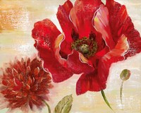 Passion for Poppies II Fine Art Print