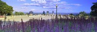 Blooming flowers with city skyline in the background, Kondiaronk Belvedere, Mt Royal, Montreal, Quebec, Canada 2010 Fine Art Print