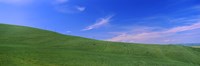 Landscape, San Quirico d'Orcia, Orcia Valley, Siena Province, Tuscany, Italy Fine Art Print