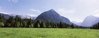 Trees on a hill with mountain range in the background, Karwendel Mountains, Risstal Valley, Hinterriss, Tyrol, Austria Fine Art Print