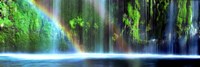 Rainbow formed in front of a waterfall in a forest, Dunsmuir, Siskiyou County, California by Panoramic Images - various sizes