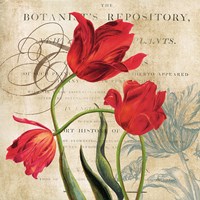 Botanist's Repository Framed Print