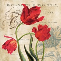 Botanist's Repository Fine Art Print