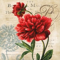The Botanist Magazine Fine Art Print