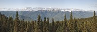 Mountain range, Olympic Mountains, Hurricane Ridge, Olympic National Park, Washington State, USA Fine Art Print