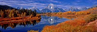 Reflection of mountains in the river, Mt Moran, Oxbow Bend, Snake River, Grand Teton National Park, Wyoming, USA by Panoramic Images - 36" x 12"