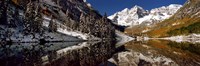 Reflection of snowy mountains in the lake, Maroon Bells, Elk Mountains, Colorado, USA Fine Art Print