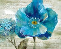 Blue Poppy Poem II Fine Art Print
