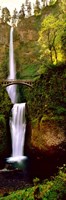 Footbridge in front of a waterfall, Multnomah Falls, Columbia River Gorge, Multnomah County, Oregon Fine Art Print