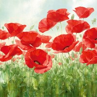 Holland Garden Fine Art Print