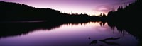 Reflection of trees in a lake, Mt Rainier National Park, Washington State Fine Art Print