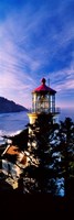 Lighthouse at a coast, Heceta Head Lighthouse, Heceta Head, Lane County, Oregon (vertical) Fine Art Print