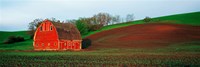 Red Barn in a Field at Sunset, Washington State, USA Fine Art Print