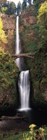 Waterfall in a forest, Multnomah Falls, Columbia River Gorge, Multnomah County, Oregon, USA Fine Art Print