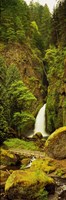 Waterfall in the Columbia River Gorge, Oregon, USA Fine Art Print