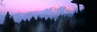 Trees with snow covered mountains at sunset in winter, Combloux, Mont Blanc Massif, Haute-Savoie, Rhone-Alpes, France Fine Art Print