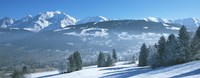 Trees with snow covered mountains in winter, Combloux, Mont Blanc Massif, Haute-Savoie, Rhone-Alpes, France Fine Art Print