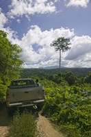 Truck a dirt road, Malao, Big Bay Highway, Espiritu Santo, Vanuatu Fine Art Print
