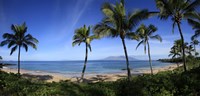 Palm trees on the beach, Maui, Hawaii, USA Fine Art Print