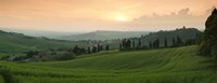 Trees on a hill, Monticchiello Di Pienza, Val d'Orcia, Siena Province, Tuscany, Italy Fine Art Print