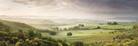 Foggy field, Villa Belvedere, San Quirico d'Orcia, Val d'Orcia, Siena Province, Tuscany, Italy Fine Art Print