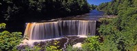 Waterfall in a forest, Tahquamenon Falls, Tahquamenon River, Michigan, USA Fine Art Print