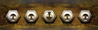 Close-up of five switches by Panoramic Images - 36" x 12"