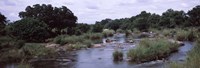 Sabie River, Kruger National Park, South Africa Fine Art Print