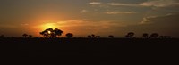 Sunset over the savannah plains, Kruger National Park, South Africa Fine Art Print