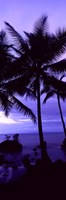 Palm trees on the coast, Colombia (purple) Fine Art Print