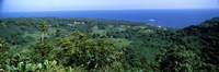 High angle view of landscape with ocean in the background, Wailua, Hana Highway, Hana, Maui, Hawaii, USA by Panoramic Images - 36" x 12"