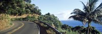 Highway along the coast, Hana Highway, Maui, Hawaii Fine Art Print