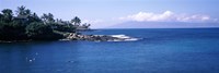 Resort at a coast, Napili, Maui, Hawaii, USA by Panoramic Images - 36" x 12"