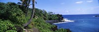 Palm trees with plants growing at a coast, Black Sand Beach, Hana Highway, Waianapanapa State Park, Maui, Hawaii, USA Fine Art Print