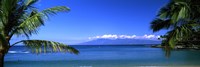 Palm trees on the beach, Kapalua Beach, Molokai, Maui, Hawaii, USA Fine Art Print