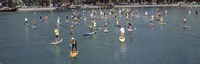Paddleboarders in the Pacific Ocean, Dana Point, Orange County, California by Panoramic Images - 36" x 12"