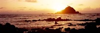 Rock formations on the coast, Aloo Island, Hana, Maui, Hawaii, USA by Panoramic Images - 36" x 12"