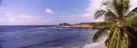 Palm tree on the beach, Hamoa Beach, Hana, Maui, Hawaii, USA Fine Art Print