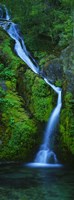 Waterfall in a forest, Sullivan Falls, Opal Creek Wilderness, Oregon, USA Fine Art Print
